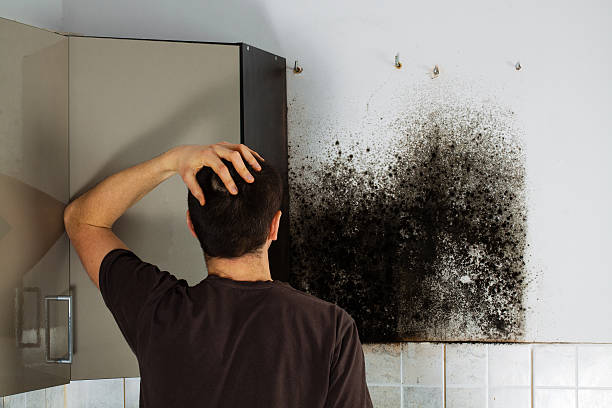 Crawl Space Mold Removal in Verde Village, AZ